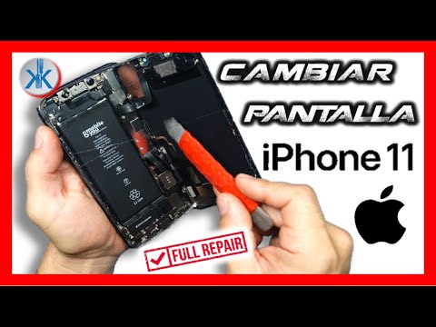 Tutorial Cambio de pantalla iPhone 11
